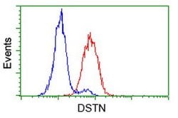 DSTN Mouse anti-Human, Rat, Clone: OTI1C5, lyophilized, TrueMAB 100 &mu;g;
