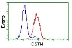 DSTN Monoclonal Antibody (OTI1C5), TrueMAB , OriGene 100 &mu;L; Unconjugated:Antibodies,