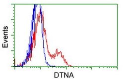 DTNA Mouse anti-Human, Clone: OTI1C2, lyophilized, TrueMAB 100 &mu;g; Unconjugated:Antibodies,