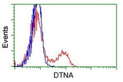 DTNA Monoclonal Antibody (OTI1B11), TrueMAB , OriGene 100 &mu;L; Unconjugated:Antibodies,