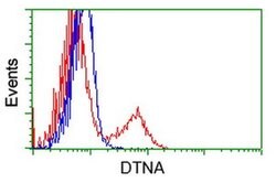 DTNA Monoclonal Antibody (OTI1B2), TrueMAB , OriGene 30 &mu;L | Buy Online | Origene Technologies | Fisher Scientific