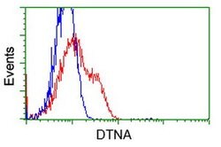 DTNA Mouse anti-Human, Clone: OTI2F9, lyophilized, TrueMAB 100 &mu;g; Unconjugated:Antibodies,