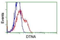 DTNA Monoclonal Antibody (OTI2F9), TrueMAB , OriGene:Antibodies:Primary