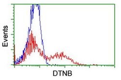 DTNB Monoclonal Antibody (OTI2E6), TrueMAB , OriGene 30 &mu;L; Unconjugated:Antibodies,