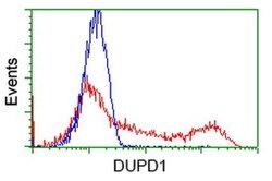 DUPD1 Monoclonal Antibody (OTI1F3), TrueMAB , OriGene 100 &mu;L; Unconjugated:Antibodies,
