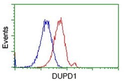 DUPD1 Monoclonal Antibody (OTI1F3), TrueMAB , OriGene 100 &mu;L; Unconjugated:Antibodies,
