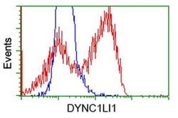 DYNC1LI1 Monoclonal Antibody (OTI1B9), TrueMAB , OriGene 100 &mu;L; Unconjugated:Antibodies,