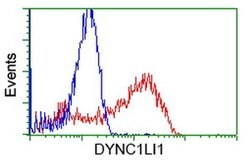 DYNC1LI1 Monoclonal Antibody (OTI2E8), TrueMAB , OriGene 100 &mu;L; Unconjugated:Antibodies,