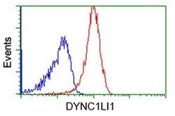 DYNC1LI1 Monoclonal Antibody (OTI2E8), TrueMAB , OriGene 100 &mu;L; Unconjugated:Antibodies,
