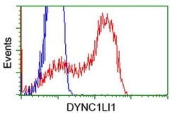DYNC1LI1 Monoclonal Antibody (OTI1H4), TrueMAB , OriGene:Antibodies:Primary
