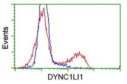 DYNC1LI1 Mouse anti-Human, Clone: OTI2B6, lyophilized, TrueMAB 100 &mu;g;