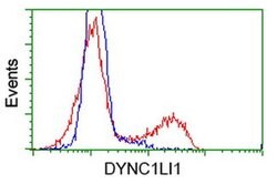 DYNC1LI1 Monoclonal Antibody (OTI2B6), TrueMAB , OriGene 30 &mu;L; Unconjugated:Antibodies,