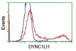 DYNC1LI1 Mouse anti-Human, Clone: OTI1C5, lyophilized, TrueMAB 100 &mu;g;