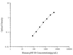 Invitrogen Human NF-H (Phospho) [pS61/pS76] ELISA Kit 96 Tests | Buy Online | Invitrogen&trade; | Fisher Scientific