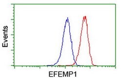 EFEMP1 Mouse anti-Human, Clone: OTI1D9, lyophilized, TrueMAB 100 &mu;g;