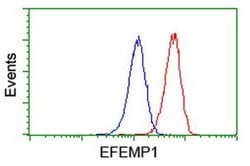 EFEMP1 Mouse anti-Human, Clone: OTI1D9, liquid, TrueMAB 100 &mu;L; Unconjugated:Antibodies,