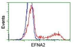 EFNA2 Monoclonal Antibody (OTI1C9), TrueMAB , OriGene 100 &mu;L; Unconjugated:Antibodies,