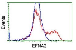 EFNA2 Monoclonal Antibody (OTI2E6), TrueMAB , OriGene 30 &mu;L; Unconjugated:Antibodies,