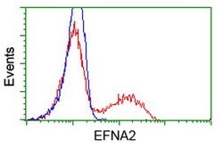 EFNA2 Mouse anti-Human, Clone: OTI4C3, lyophilized, TrueMAB 100 &mu;g;