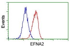 EFNA2 Mouse anti-Human, Clone: OTI4C3, lyophilized, TrueMAB 100 &mu;g;