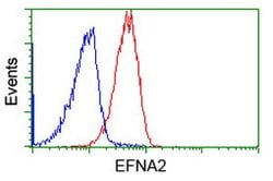 EFNA2 Mouse anti-Human, Clone: OTI3E3, lyophilized, TrueMAB 100 &mu;g;