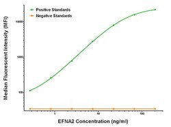 EFNA2 Mouse anti-Human, Clone: OTI4C3, liquid, TrueMAB 100 &mu;g; Unconjugated:Antibodies,