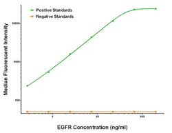 EGFR Mouse anti-Human, Clone: OTI3F2, liquid, TrueMAB 100 &mu;g; Unconjugated:Antibodies,