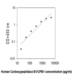 Invitrogen&trade;&nbsp;Human Carboxypeptidase B1/CPB1 ELISA Kit