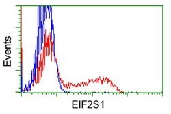 EIF2S1 Monoclonal Antibody (OTI3H4), TrueMAB , OriGene 100 &mu;L; Unconjugated:Antibodies,