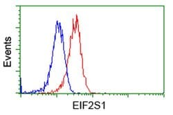 EIF2S1 Monoclonal Antibody (OTI3H4), TrueMAB , OriGene 100 &mu;L; Unconjugated:Antibodies,