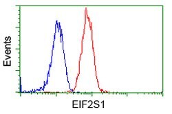 EIF2S1 Mouse anti-Canine, Human, Rat, Clone: OTI3H7, lyophilized, TrueMAB
