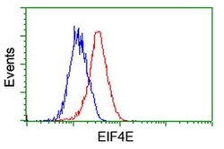 EIF4E Monoclonal Antibody (OTI6C11), TrueMAB , OriGene 100 &mu;L; Unconjugated:Antibodies,