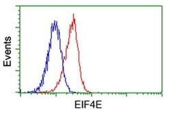 EIF4E Monoclonal Antibody (OTI6C11), TrueMAB , OriGene 100 &mu;L; Unconjugated:Antibodies,