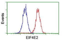 EIF4E2 Monoclonal Antibody (OTI1F2), TrueMAB , OriGene 100 &mu;L; Unconjugated:Antibodies,