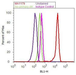 Invitrogen eIF5A Monoclonal Antibody (4E10G8) 100 &mu;g; Unconjugated:Antibodies,