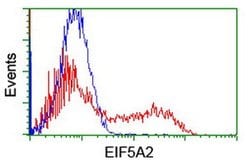EIF5A2 Monoclonal Antibody (OTI2E9), TrueMAB , OriGene 100 &mu;L; Unconjugated:Antibodies,