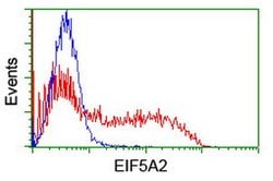 EIF5A2 Mouse anti-Human, Clone: OTI6F7, lyophilized, TrueMAB 100 &mu;g;