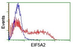 EIF5A2 Monoclonal Antibody (OTI6F7), TrueMAB , OriGene 100 &mu;L; Unconjugated:Antibodies,