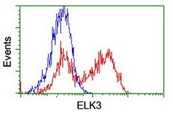 ELK3 Mouse anti-Human, Clone: OTI4G9, lyophilized, TrueMAB 100 &mu;g; Unconjugated:Antibodies,