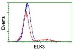 ELK3 Monoclonal Antibody (OTI2F12), TrueMAB , OriGene 30 &mu;L; Unconjugated:Antibodies,