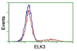 ELK3 Monoclonal Antibody (OTI2C10), TrueMAB , OriGene 100 &mu;L; Unconjugated:Antibodies,