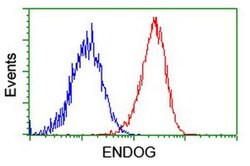 ENDOG Monoclonal Antibody (OTI5F1), TrueMAB , OriGene 30 &mu;L; Unconjugated:Anticorps,