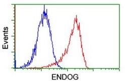 ENDOG Monoclonal Antibody (OTI5F1), TrueMAB , OriGene 30 &mu;L; Unconjugated:Anticorps,