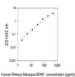 Invitrogen&trade;&nbsp;Rhesus Monkey BDNF ELISA Kit