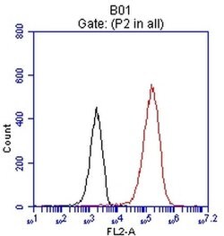 EPCAM Monoclonal Antibody (OTI2B1), TrueMAB , OriGene 100 &mu;L; Unconjugated:Antibodies,