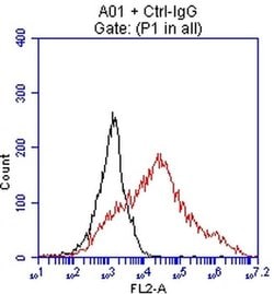 EPCAM Monoclonal Antibody (OTI2G9), TrueMAB , OriGene 30 &mu;L; Unconjugated:Antibodies,