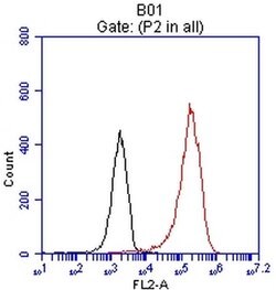EPCAM Monoclonal Antibody (OTI2G9), TrueMAB , OriGene 30 &mu;L; Unconjugated:Antibodies,