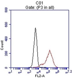 EPCAM Monoclonal Antibody (OTI2G9), TrueMAB , OriGene 30 &mu;L; Unconjugated:Antibodies,