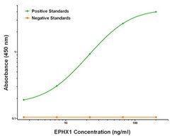 EPHX1 Mouse anti-Human, Clone: OTI3A10, liquid, TrueMAB 100 &mu;g; Unconjugated:Antibodies,