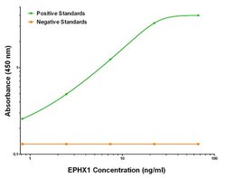 EPHX1 Mouse anti-Human, Clone: OTI3F10, liquid, TrueMAB 100 &mu;g; Unconjugated:Antibodies,